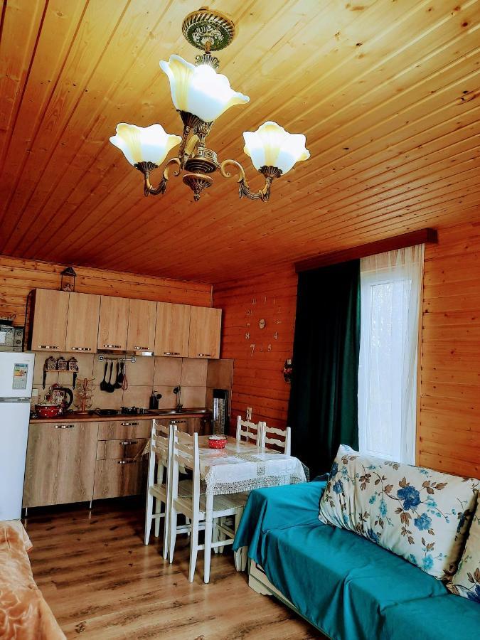 Family Hotel Maia - Cемейная Гостиница Майя Dashbashi Kültér fotó