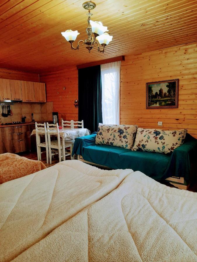 Family Hotel Maia - Cемейная Гостиница Майя Dashbashi Kültér fotó
