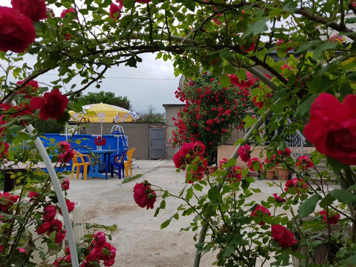Family Hotel Maia - Cемейная Гостиница Майя Dashbashi Kültér fotó